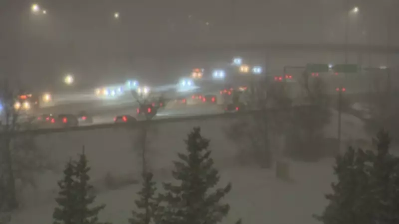 Spring Snowstorm Paralyzes Calgary, Causing Dozens of Crashes