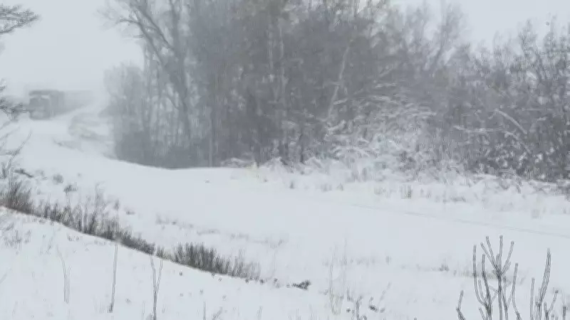 Spring Snowstorm Wreaks Havoc on Prairies, Stranding Drivers and Causing Crashes