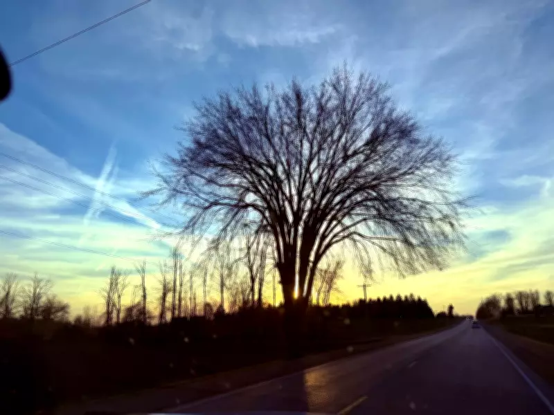 Stormy Start to the Week in Windsor-Essex with Persistent Rain Forecast