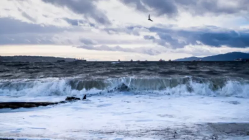 Strong and Gusty Winds Forecast for British Columbia's South Coast This Weekend