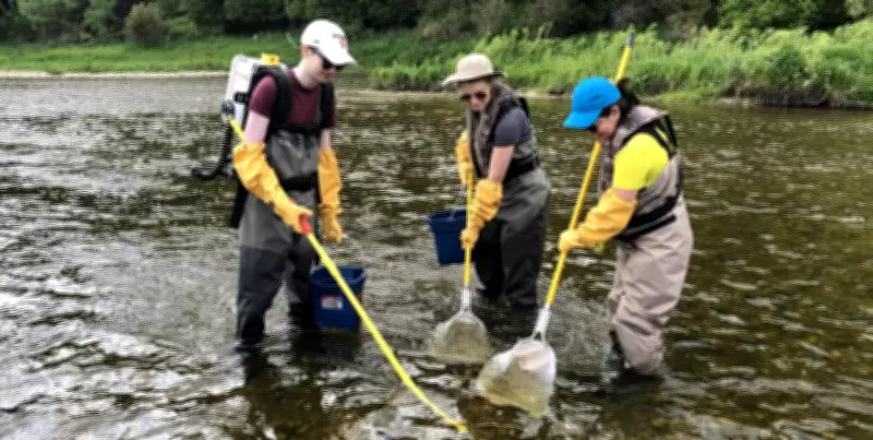 Study Finds Opioids and Antidepressants in Fish Near Wastewater Plants