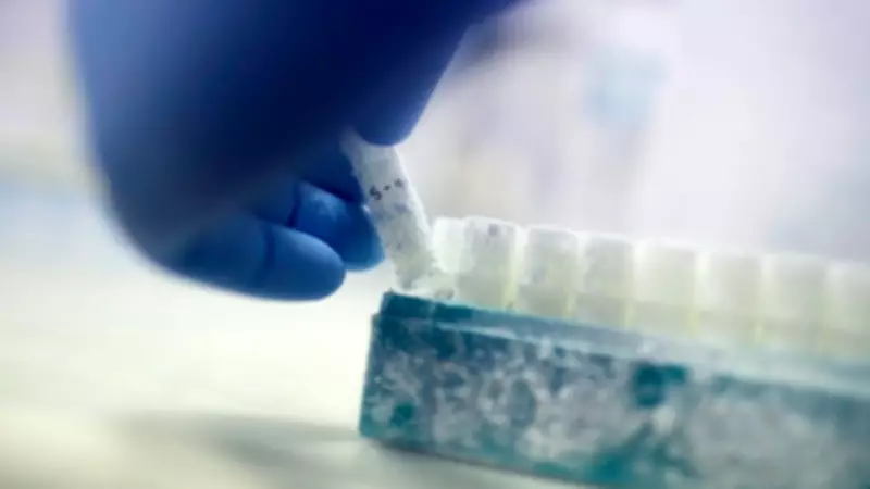Study Reveals Sperm Quality Peaks in Summer Months, New Research Finds