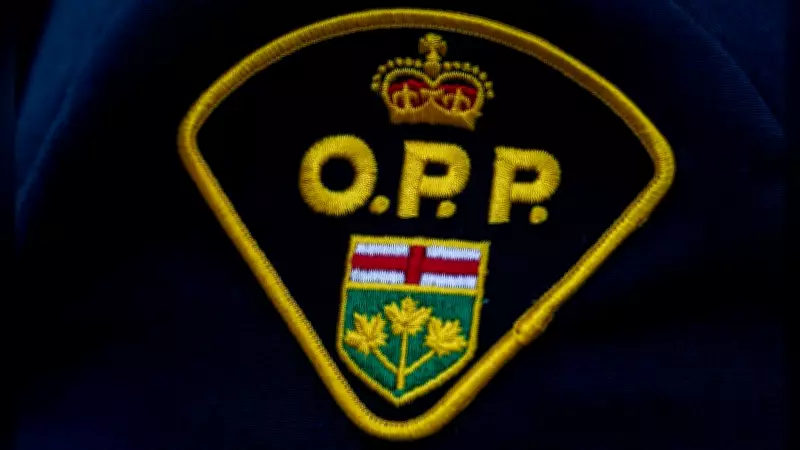 Sudbury Woman Dies in Highway 69 Crash Early Monday Morning