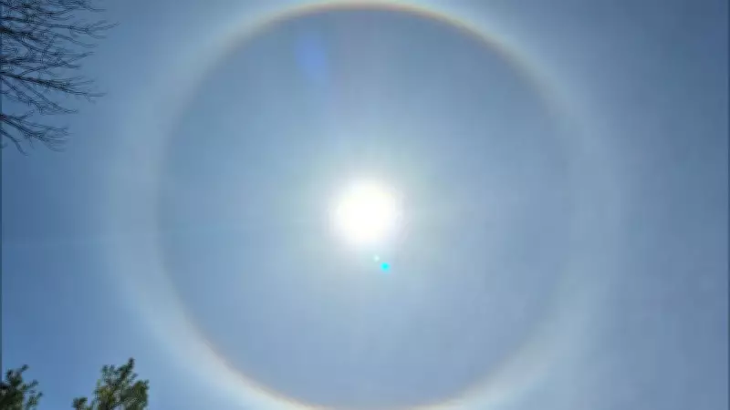 Sun and Strong Winds Today Before Showers, Thunderstorms Move into London, Ont.