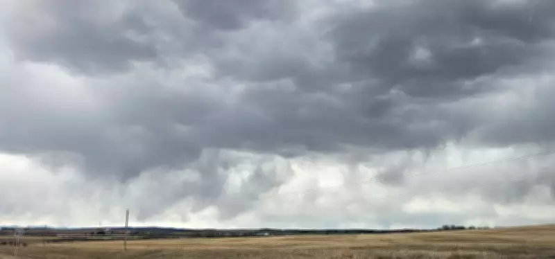 Sunny 16 C Weather Expected in Calgary on Wednesday