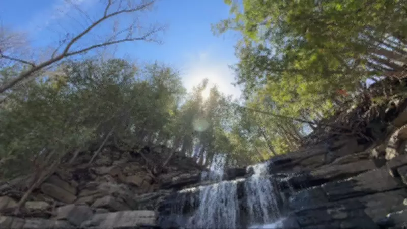 Sunny and Mild Weekend Ahead for Ottawa Without Umbrellas