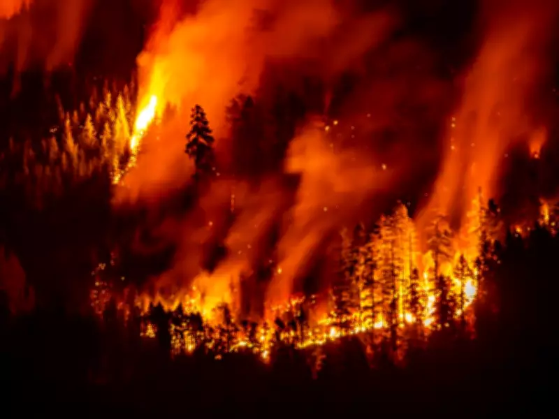 Survey: Over Half of B.C. Residents Unprepared for Wildfires