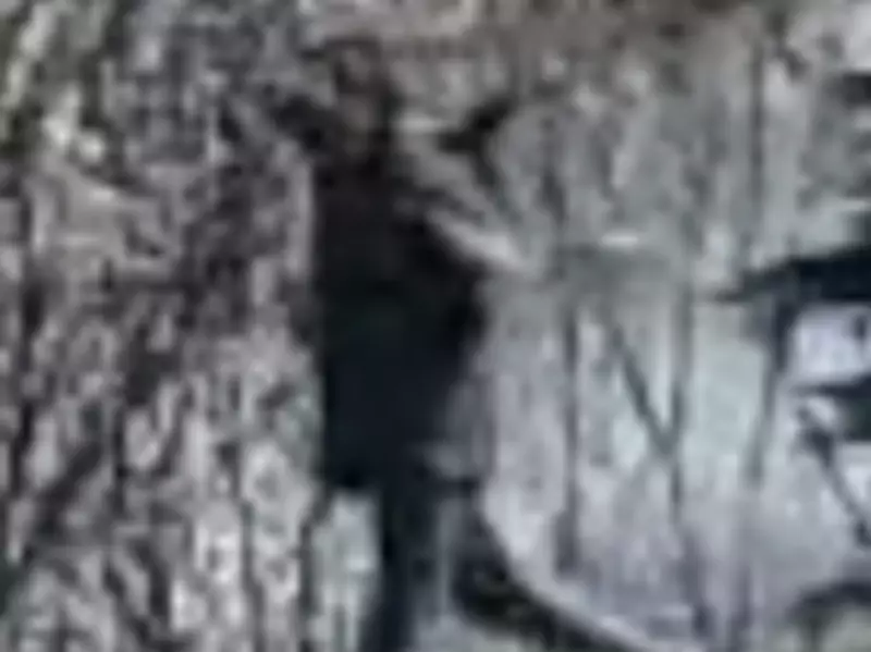 Suspect Sought After Girl Grabbed in Vaughan; Hamilton Workplace Fatality