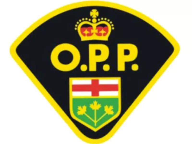 Tecumseh Man Charged with Multiple Theft and Trespassing Offenses