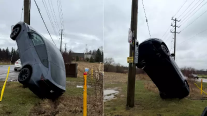 Tesla Crashes into Utility Pole, Ends Up Vertical in Hamilton
