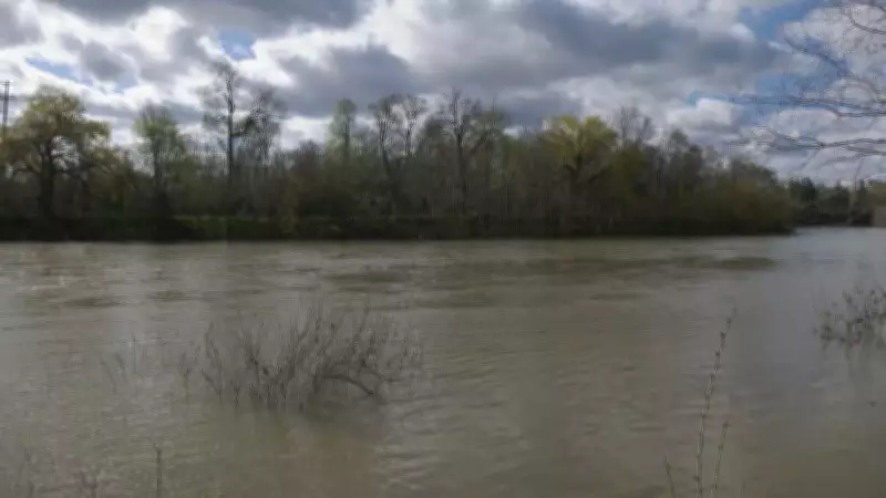 Thames River Water Levels in London, Ontario Show Decline but Remain Elevated