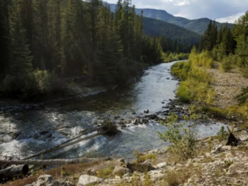 The Oldman River's Cry: Drought and Deforestation Threaten Vital Watershed
