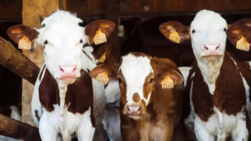 Top 10 Weekend Activities in Calgary: April 17-19, 2026