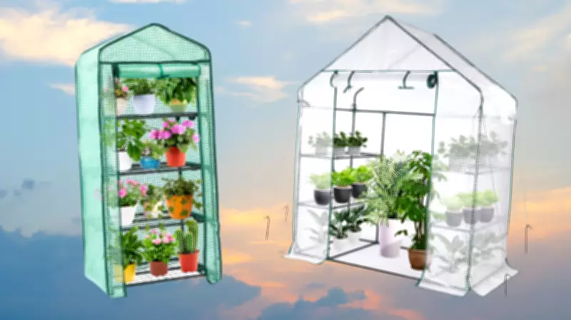 Top Amazon Greenhouses: Ohuhu & Scool Value Picks for Home Gardeners