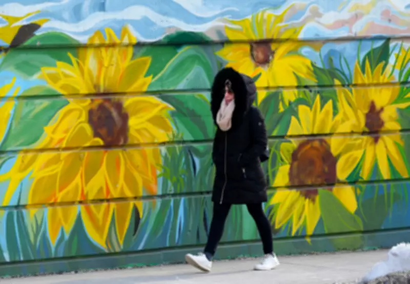 Toronto Braces for Frigid Start to Work Week with -8°C Morning Chill