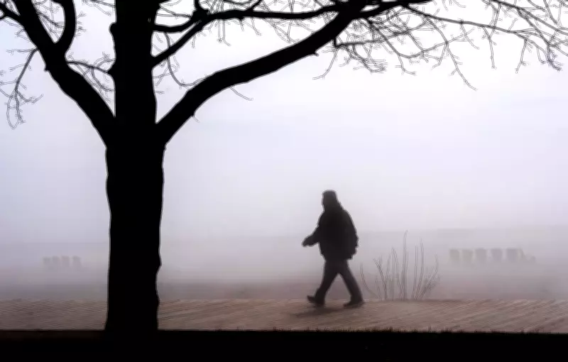 Toronto Braces for Heavy Rain as Special Weather Statement Issued