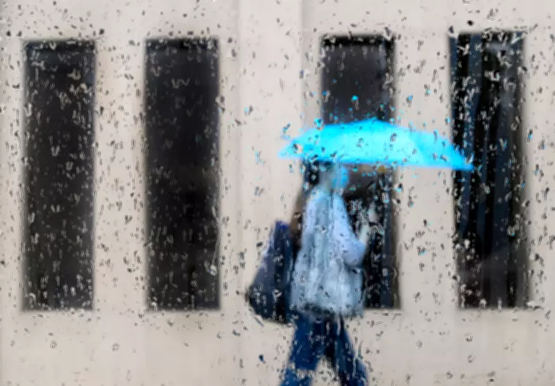 Toronto Braces for Heavy Rainfall: Up to 40 mm Expected This Weekend