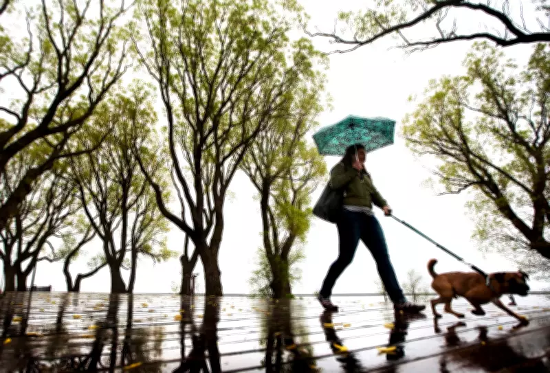 Toronto Faces Elevated Flood Risk as Heavy Rainfall Sweeps Through the Region