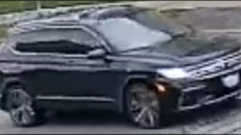 Toronto Police Hunt for Two Suspects in High-Value Trading Card Theft