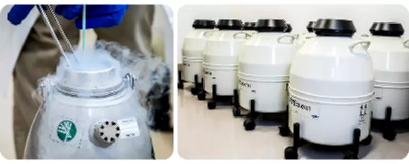 Toronto Zoo Secures $1M Donation for Endangered Species Genetic Preservation