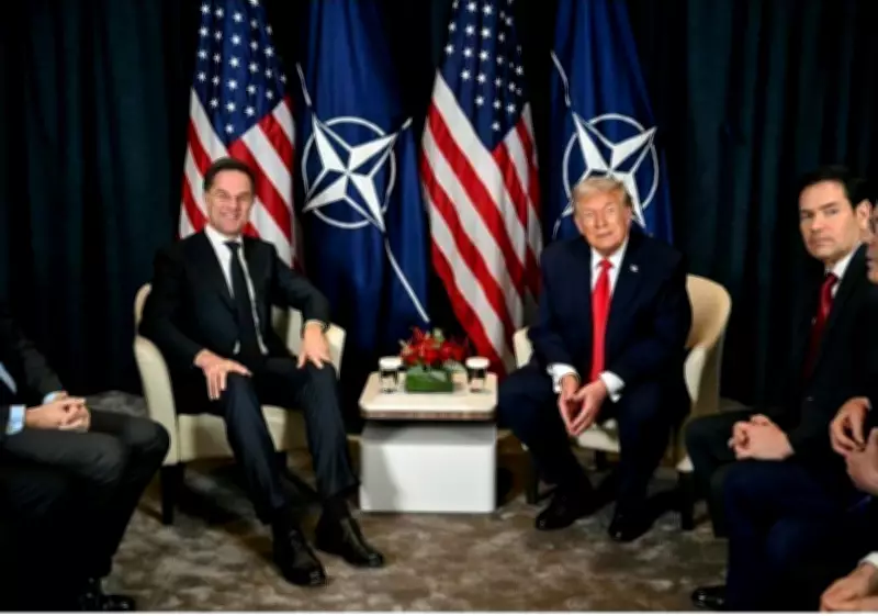 Trump Criticizes NATO Allies Over Iran War Support, Reiterates Greenland Ambition