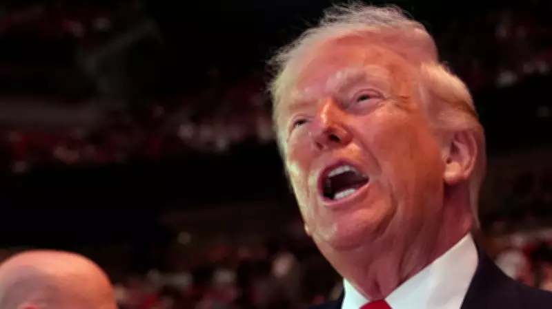 Trump Demands Schumer Resign, Calls to Wipe Out 2020 Election in Late-Night Rant