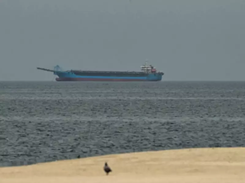 Trump's Proposed Strait of Hormuz Blockade Threatens Global Energy Flows