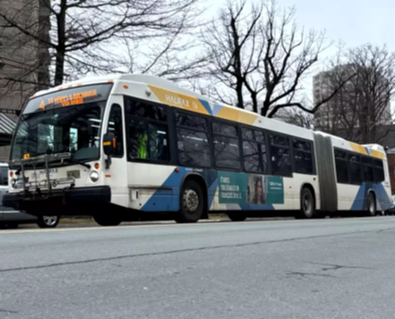 Truro Mayor Advocates for Halifax Transit Link to Boost Regional Economy
