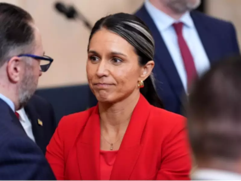 Tulsi Gabbard Sends Criminal Referrals for Trump Whistleblowers to Justice Department