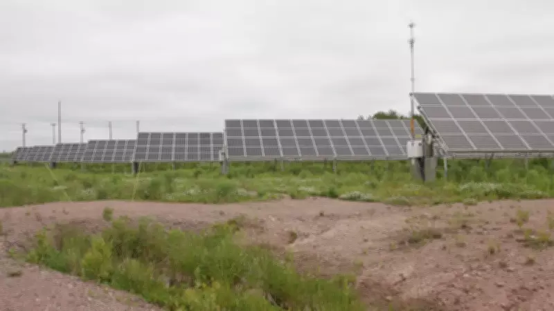 Two Major Solar Projects Approved for Southwestern Ontario, Boosting Renewable Energy