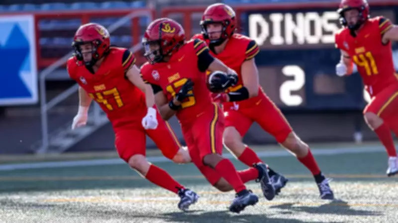 University of Calgary Dinos Propose New Multi-Sport Stadium on Campus
