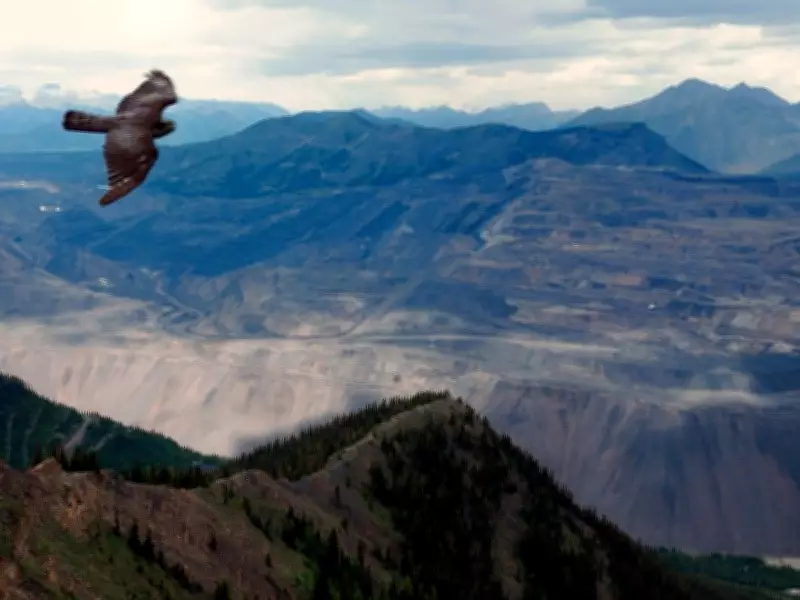 U.S. Court Rejects B.C. Coal Mine's Bid to Raise Selenium Pollution in Border Lake