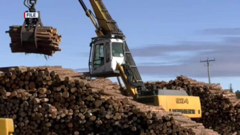 US tariffs force indefinite closure of two Northern Ontario sawmills