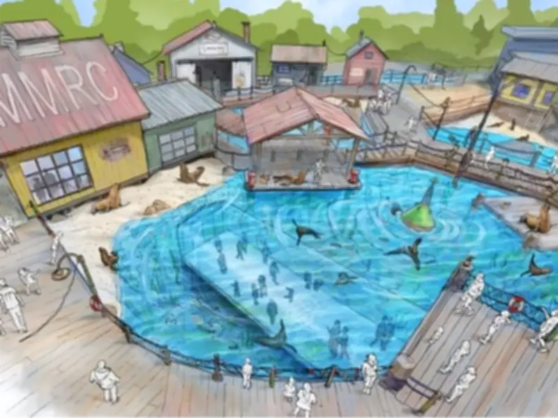 Vancouver Aquarium Proposes Underwater Tunnel for Immersive Seal and Sea Lion Experience