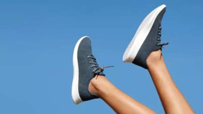 Vanda Research Predicts New Meme-Stock Surge Beyond Allbirds