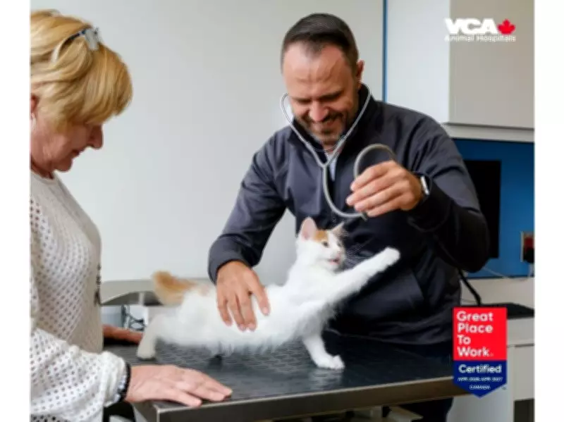 VCA Canada Earns 2026 Great Place To Work Certification