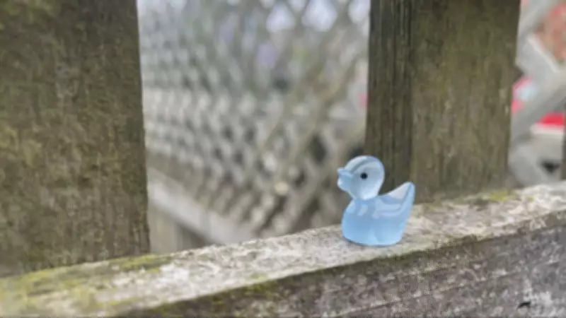 Victoria Woman's Toy Duck Treasure Hunt Spreads Joy Across Community
