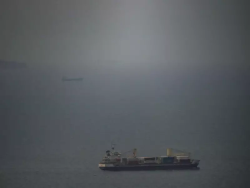 Vivian Bercovici: Iran's Desperate Hormuz Blockade Will Ultimately Fail