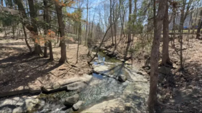 Warm Sunny Weather Continues in Ottawa with Pleasant Spring Conditions