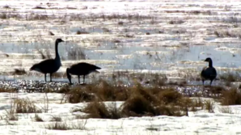 Warmer and Sunnier Conditions to Close the Week Across Canada