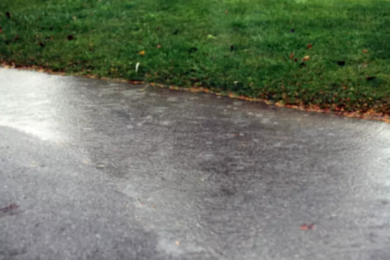 Watershed Conditions Statement Issued for Windsor-Essex Amid Heavy Rainfall