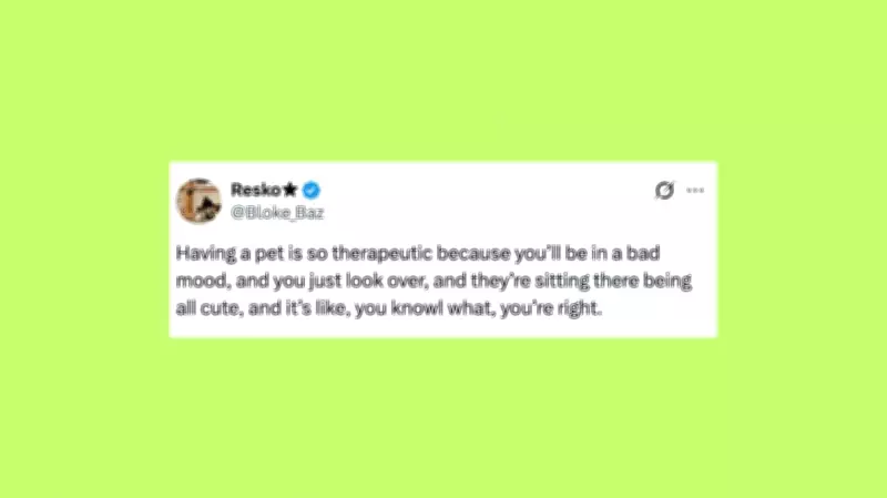 Weekly Roundup: Hilarious Pet Posts to Brighten Your Day