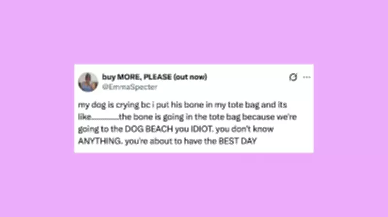 Weekly Roundup of Hilarious Pet Posts to Brighten Your Day