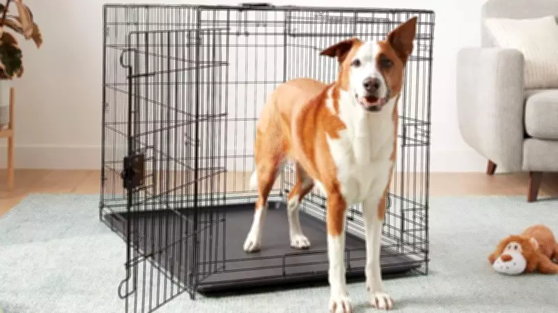 Why Dog Crates Are Beneficial for Your Pet's Well-Being and Security