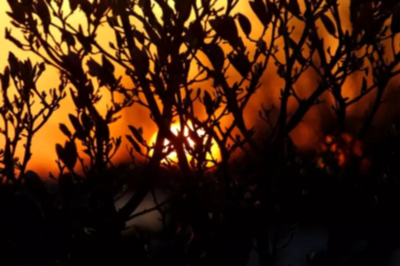 Windsor-Essex Weather Turns Unsettled: Sun to Showers After Today