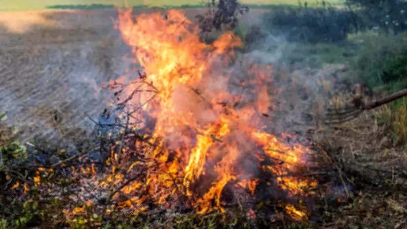 Windsor Fire Officials Warn of Penalties Amid Persistent Open-Air Burn Calls