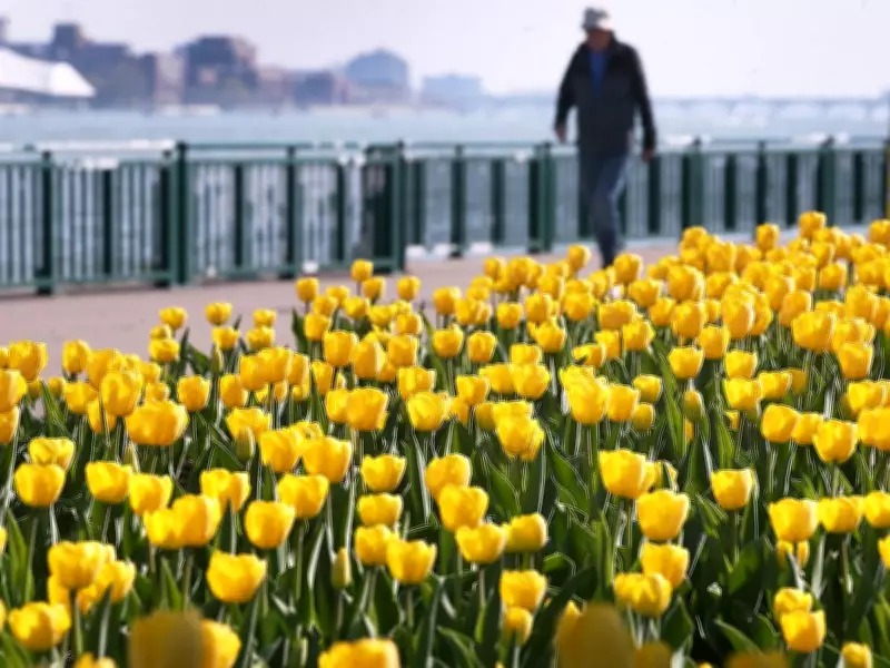 Windsor Named Canada's Top Pollen Hotspot for Allergy Sufferers