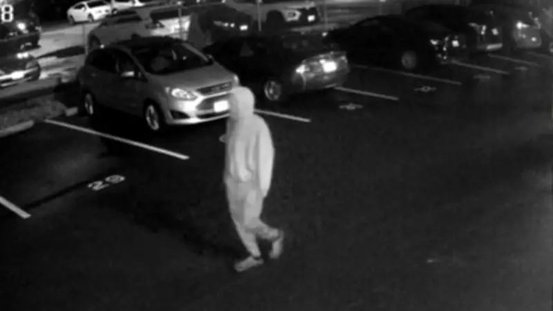 Windsor Police Seek Suspect in Wyandotte Street East Vandalism Investigation