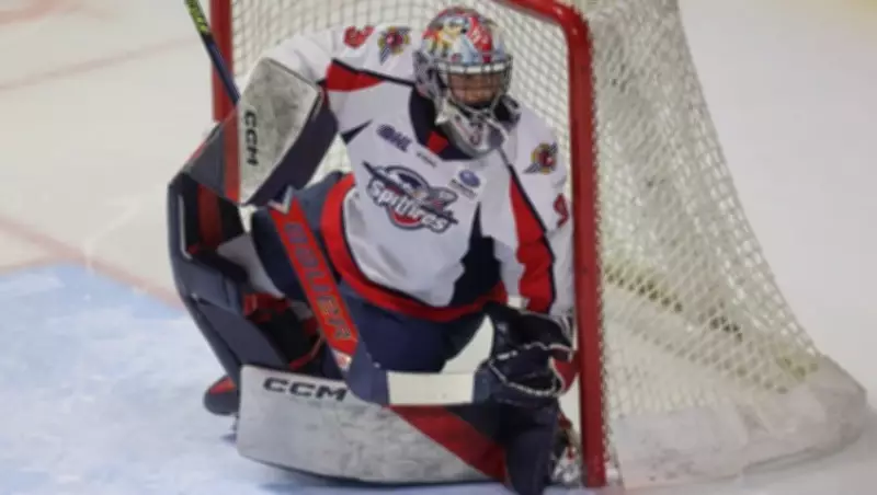 Windsor Spitfires Goalie Joey Costanzo Primed for Firebirds Challenge