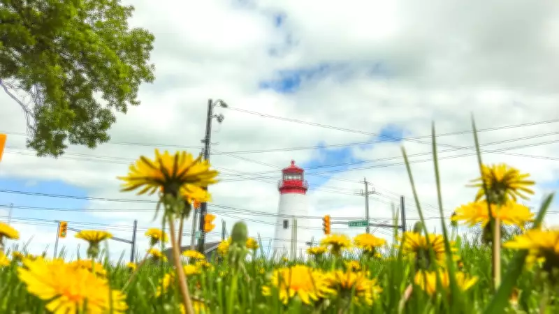 Windsor to Experience Cool, Cloudy Weather with Showers
